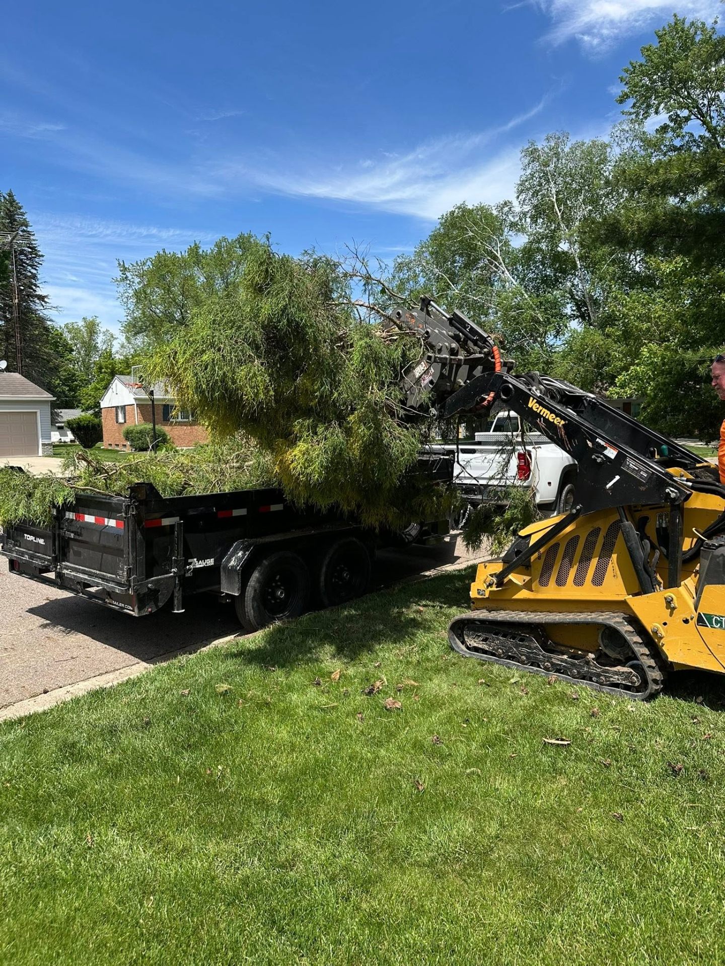 Land Clearing & Cleanup