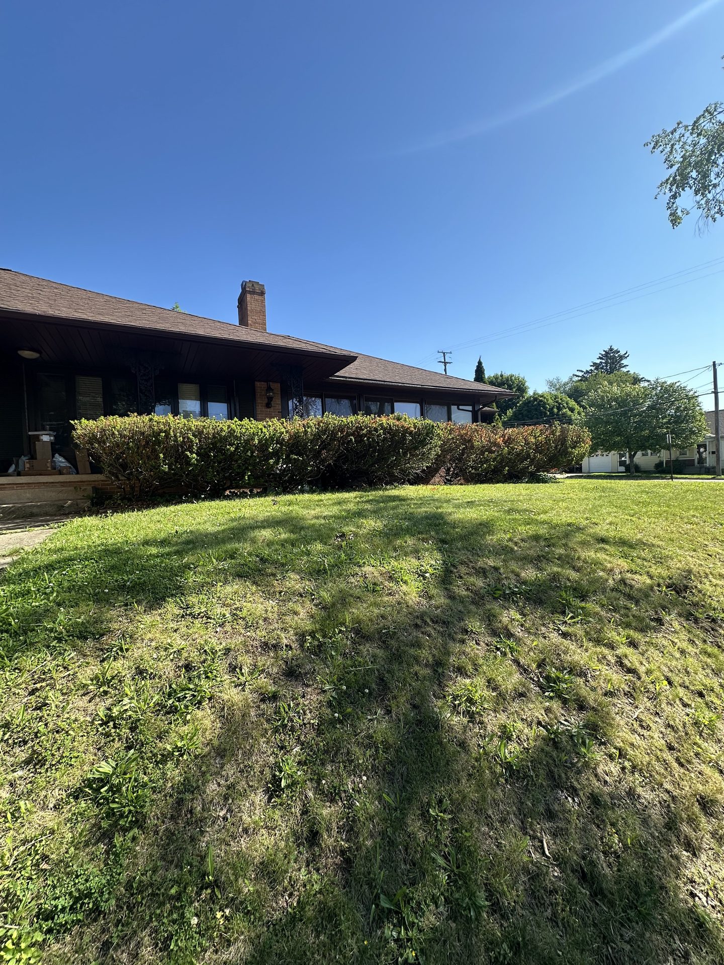 Overgrown front yard in Jackson MI prepped for regrading and landscaping