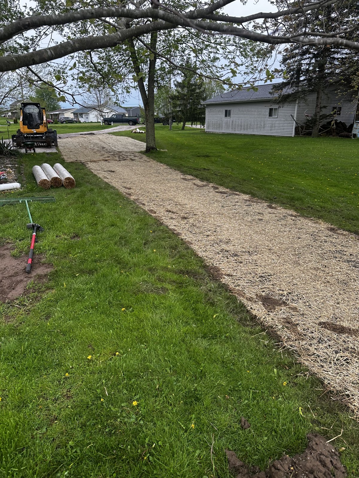 Fresh drain field trench covered with straw and restored lawn edge