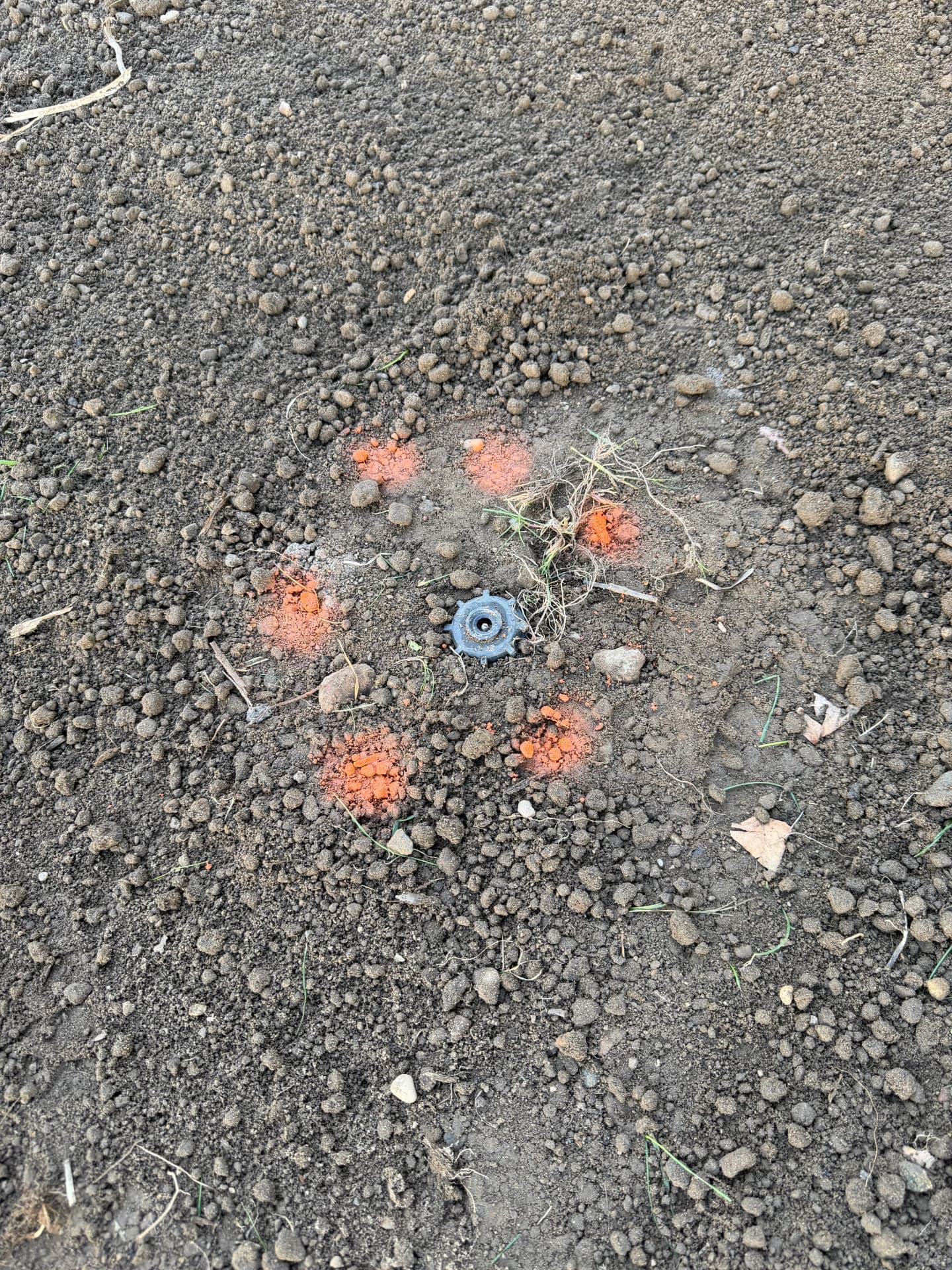 Sprinkler line marked and protected during grading